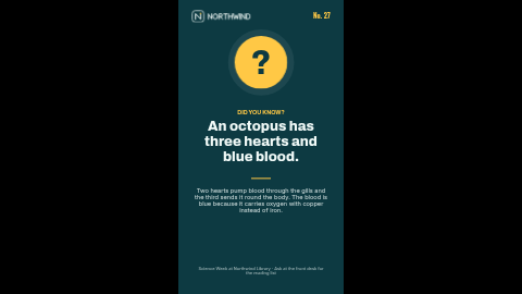 Did you know? (portrait) template preview