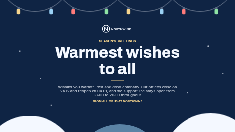Winter holidays template preview