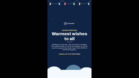 Winter holidays (portrait) template preview